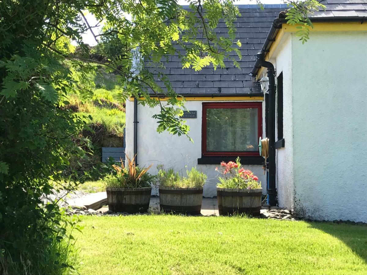 Blossom Cottage Lonmore Luaran gambar